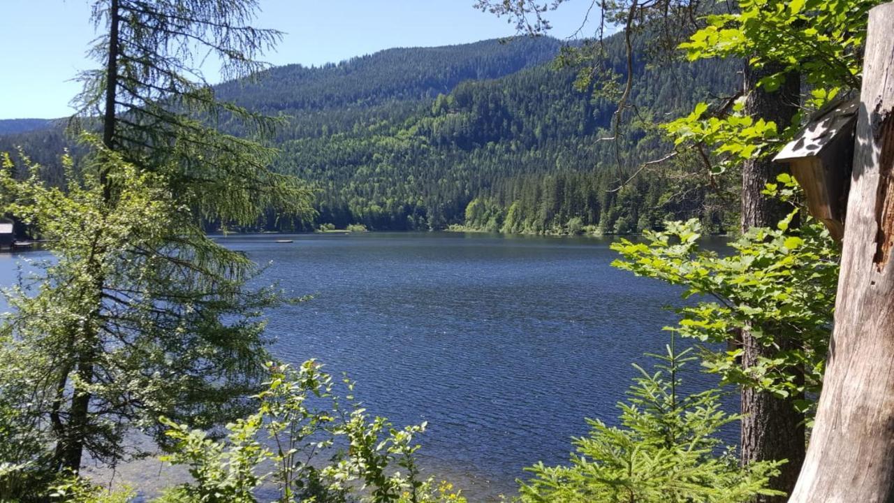 Ferienwohnung Grimmingblick - Auszeit Vom Alltag Obersdorf Eksteriør billede